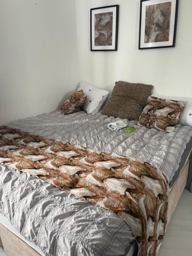 Spacious One Bedroom Ft In Central London King'S Cross Exterior photo